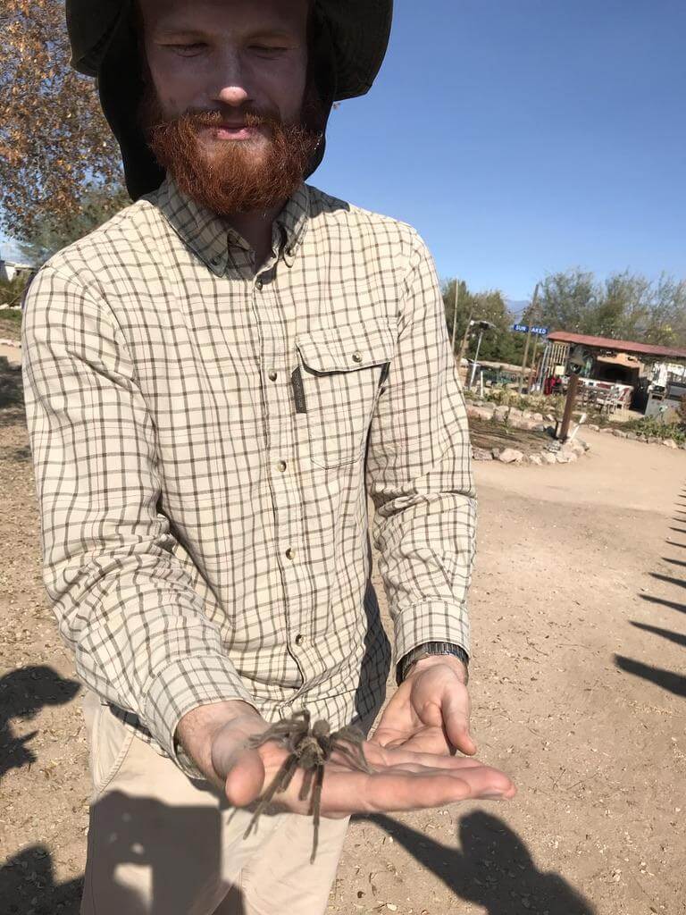 Klapperman holding a tarantula in the late fall.