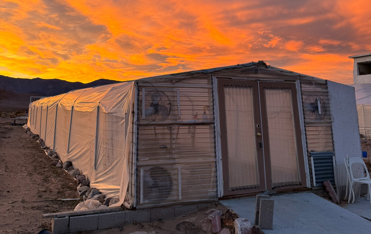 Yulia Haus – a climate-controlled greenhouse for year-round growing