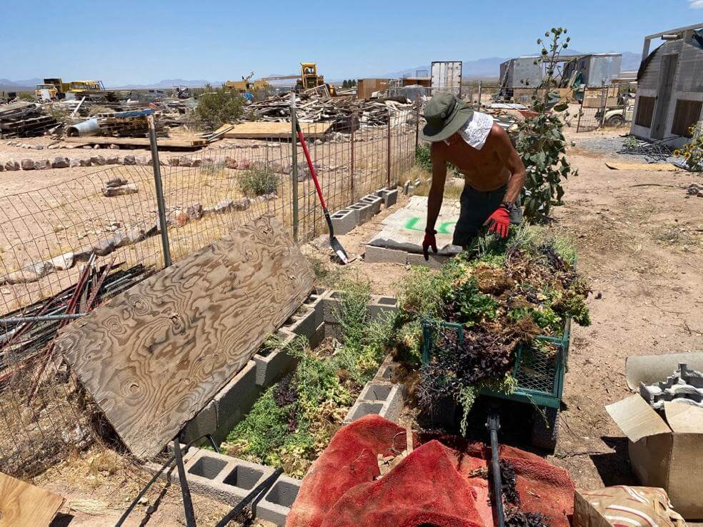 John feeding worms in our vermiculture bins. Spent plants are fed to the worms, enriching the soil for future crops.